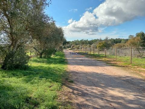Terreno Rústico de 25.000 m² - Lagos