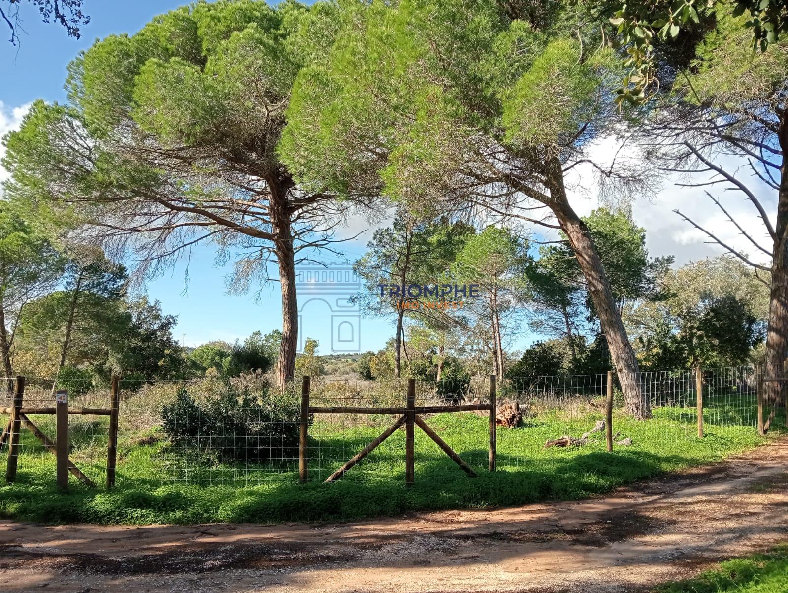 Terreno Rústico de 25.000 m² - Lagos