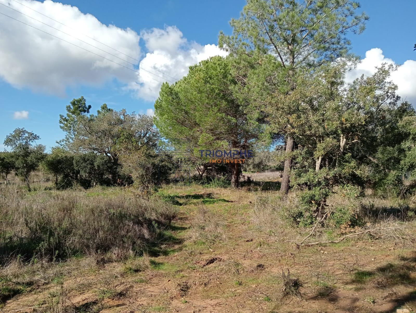 Terreno Rústico de 25.000 m² - Lagos