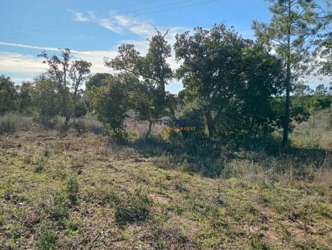 Terreno Rústico de 25.000 m² - Lagos
