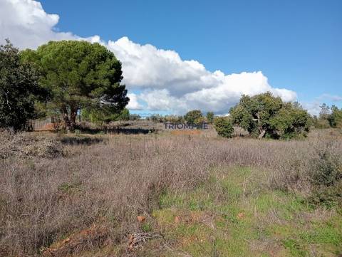 Terreno Rústico de 25.000 m² - Lagos