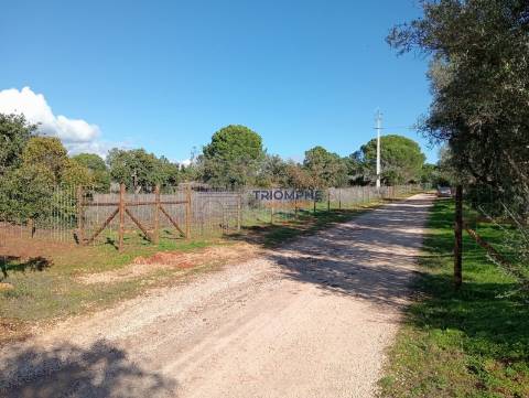 Terreno Rústico de 25.000 m² - Lagos