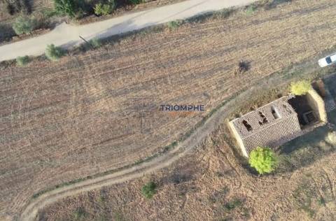 Terreno com Ruína - Silves - Projeto de Empreendimento Rural