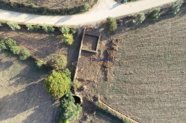 Terreno com Ruína - Silves - Projeto de Empreendimento Rural