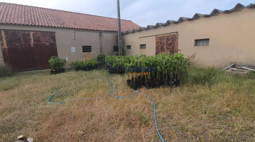 Terreno com Ruína - Silves - Projeto de Empreendimento Rural