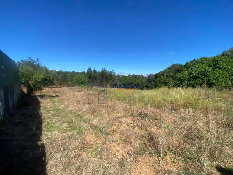 Terreno p/construção 12 moradias, Benedita
