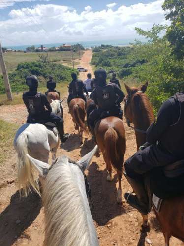 Oportunidade de Investimento Turístico | 5,5 ha com PIP Aprovado | Borba, Alentejo