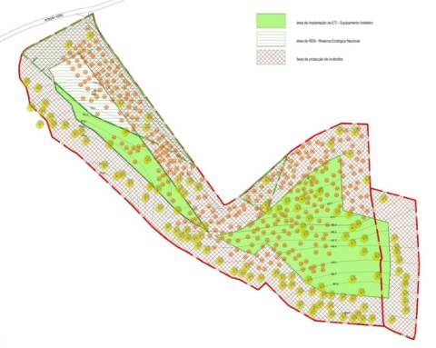 Oportunidade de Investimento Turístico | 5,5 ha com PIP Aprovado | Borba, Alentejo