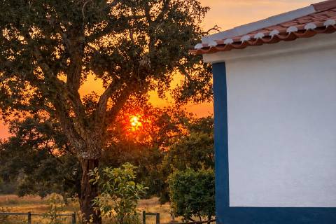 Propriedade Rural com 140 ha, Água Própria e Infraestruturas Operacionais