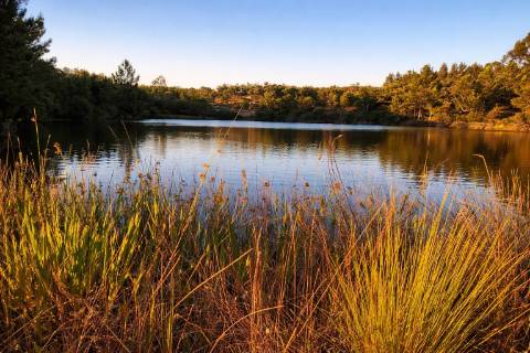 Propriedade Rural com 140 ha, Água Própria e Infraestruturas Operacionais