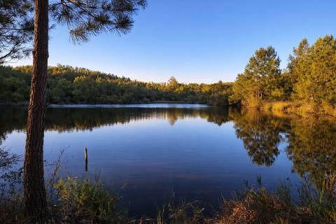Propriedade Rural com 140 ha, Água Própria e Infraestruturas Operacionais