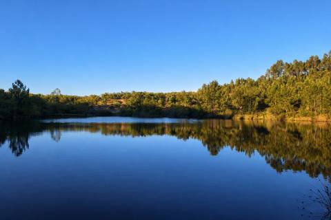 Propriedade Rural com 140 ha, Água Própria e Infraestruturas Operacionais