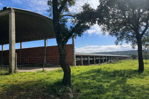 Propriedade Rural com 140 ha, Água Própria e Infraestruturas Operacionais