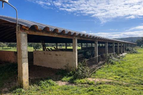 Propriedade Rural com 140 ha, Água Própria e Infraestruturas Operacionais