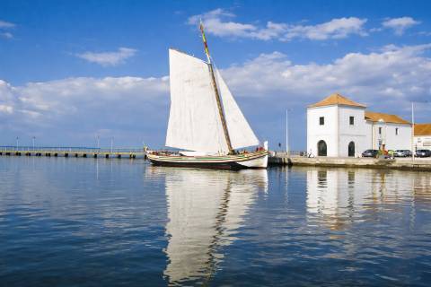 Distinto T2 Remodelado no Coração de Alcochete | A Escassos Passos do Rio | Conforto e Qualidade de Vida