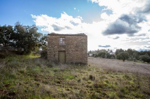 Terreno Rústico com 3720m2