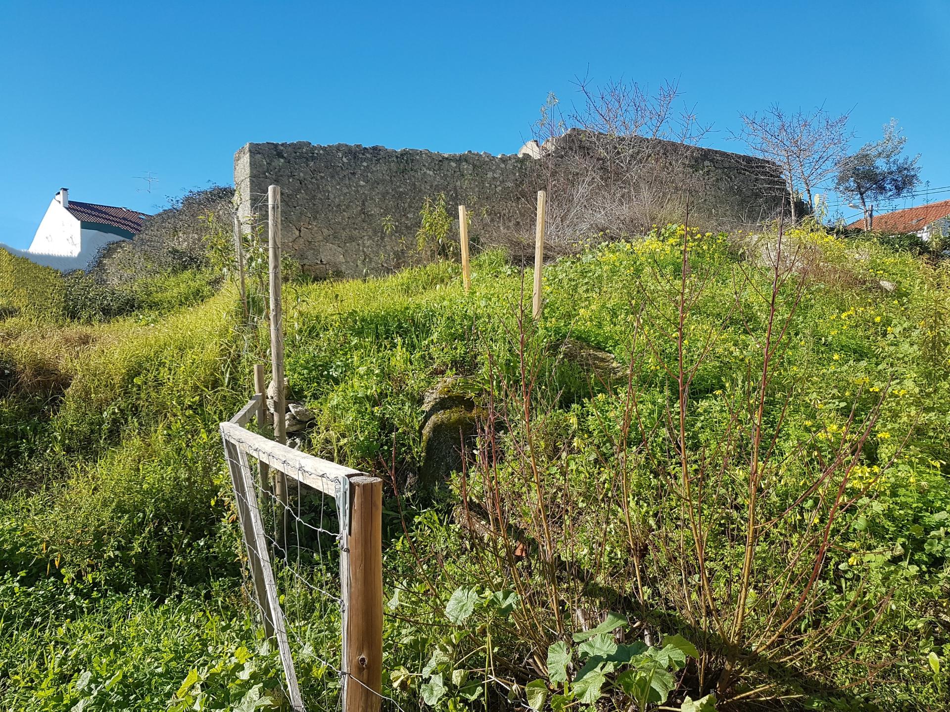 Terreno Urbano para venda em Castelo Branco.