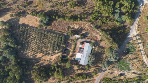 Oportunidade Única - Quinta Agropecuária na Beira Interior