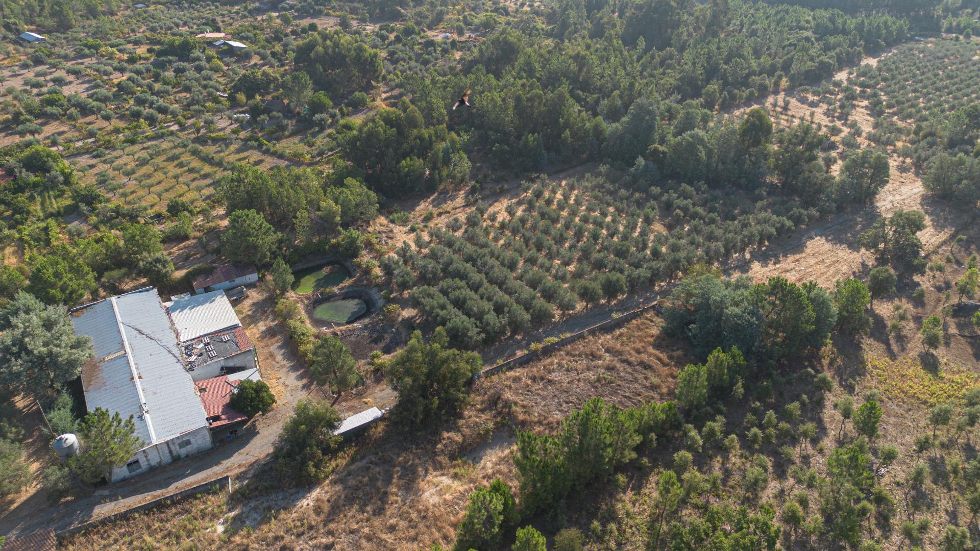 Oportunidade Única - Quinta Agropecuária na Beira Interior