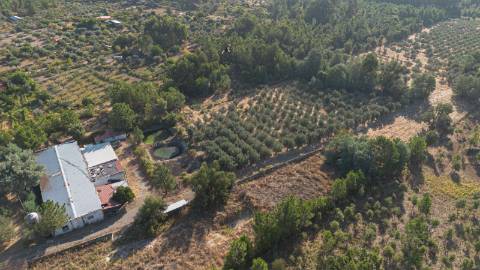 Oportunidade Única - Quinta Agropecuária na Beira Interior