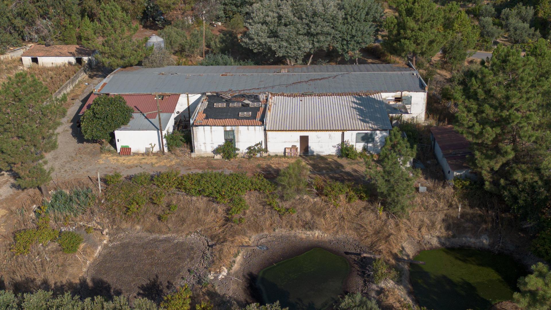 Oportunidade Única - Quinta Agropecuária na Beira Interior