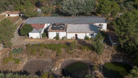 Oportunidade Única - Quinta Agropecuária na Beira Interior