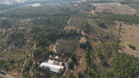 Oportunidade Única - Quinta Agropecuária na Beira Interior