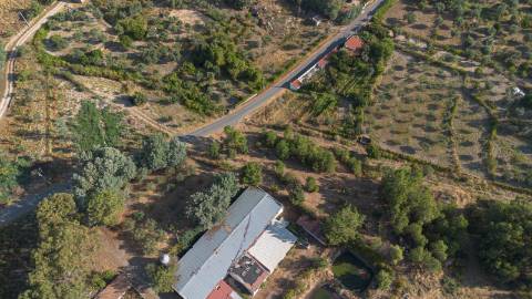 Oportunidade Única - Quinta Agropecuária na Beira Interior