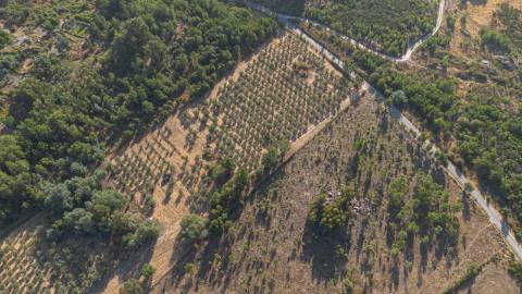 Oportunidade Única - Quinta Agropecuária na Beira Interior