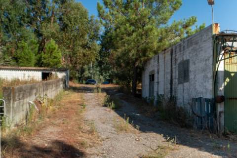 Oportunidade Única - Quinta Agropecuária na Beira Interior