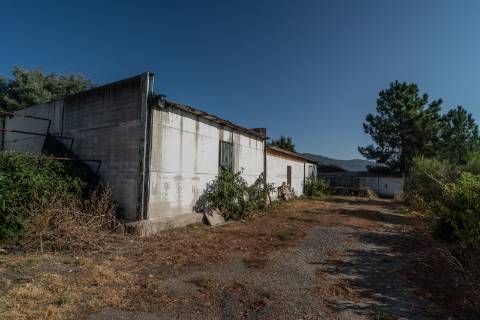 Oportunidade Única - Quinta Agropecuária na Beira Interior