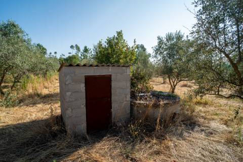 Oportunidade Única - Quinta Agropecuária na Beira Interior