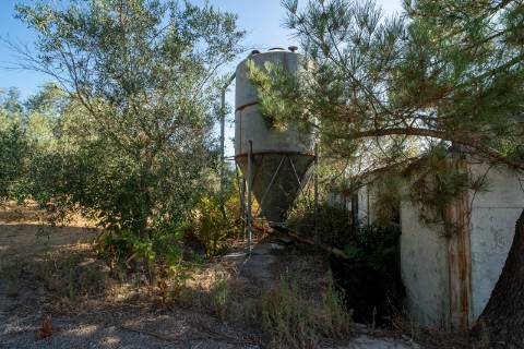 Oportunidade Única - Quinta Agropecuária na Beira Interior