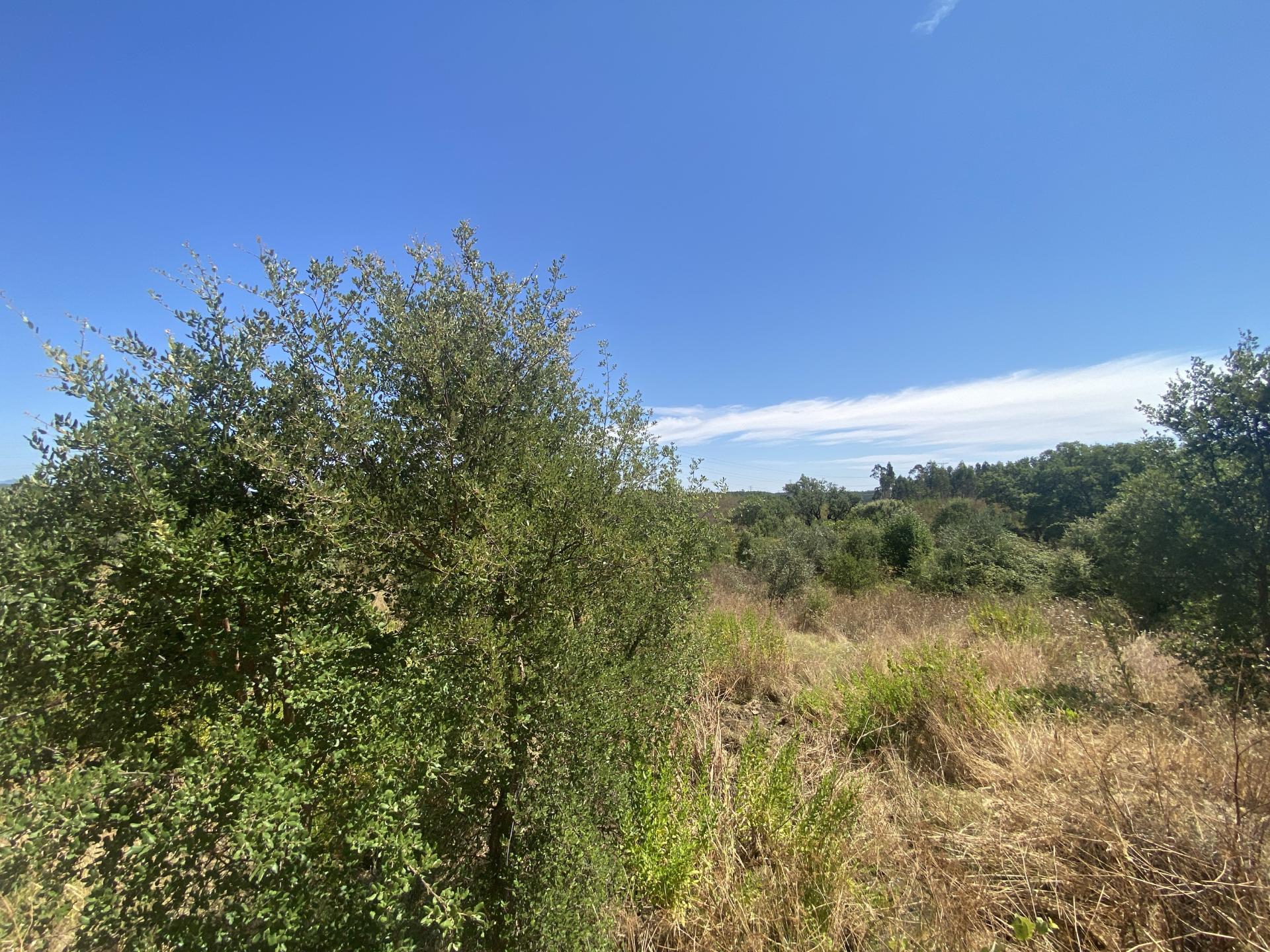Terreno rústico com 1400m2 de área