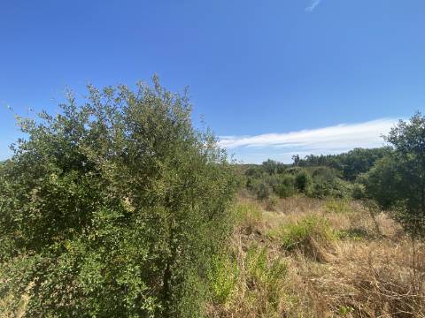 Terreno rústico com 1400m2 de área