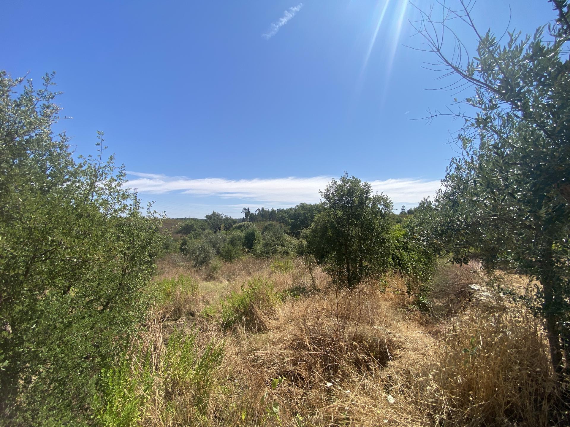 Terreno rústico com 1400m2 de área