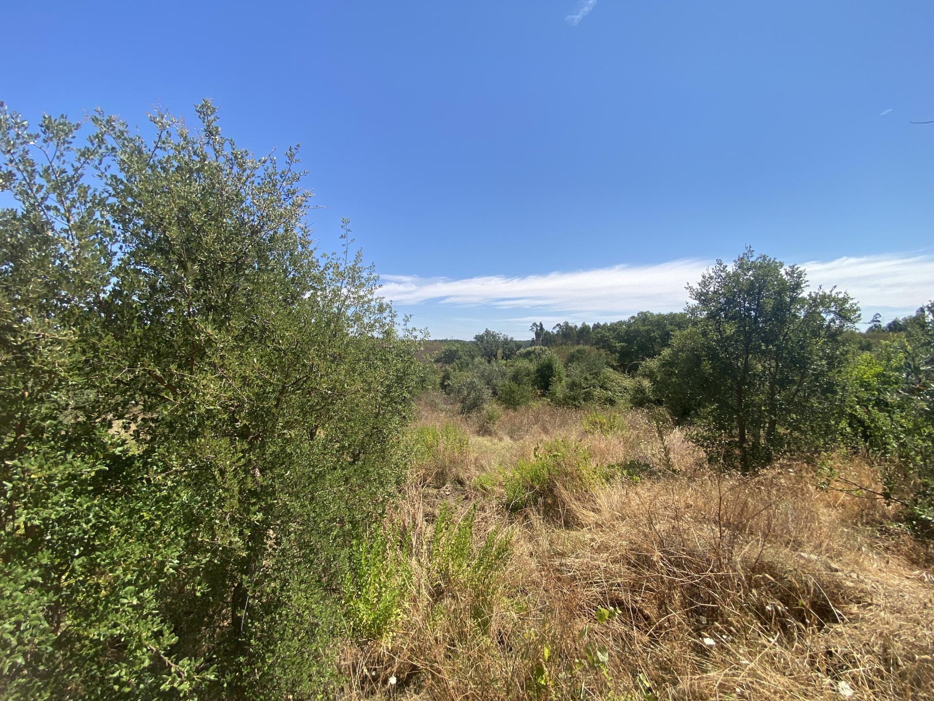 Terreno rústico com 1400m2 de área