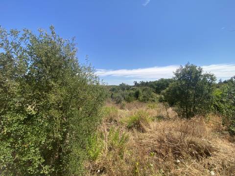 Terreno rústico com 1400m2 de área