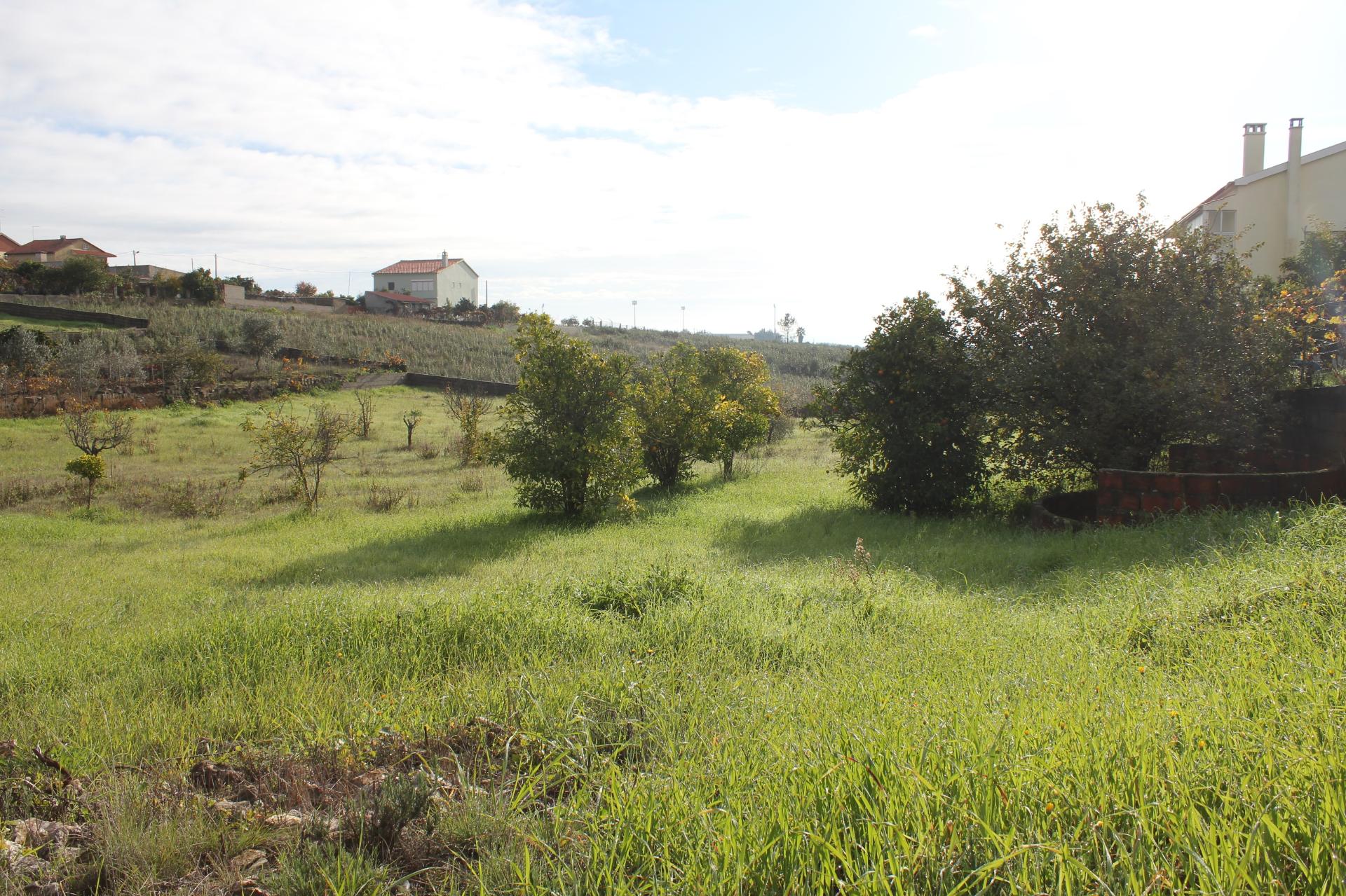 Terreno Urbano para venda em Castelo Branco.