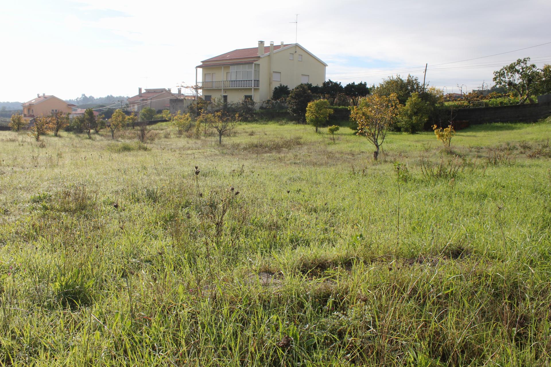 Terreno Urbano para venda em Castelo Branco.