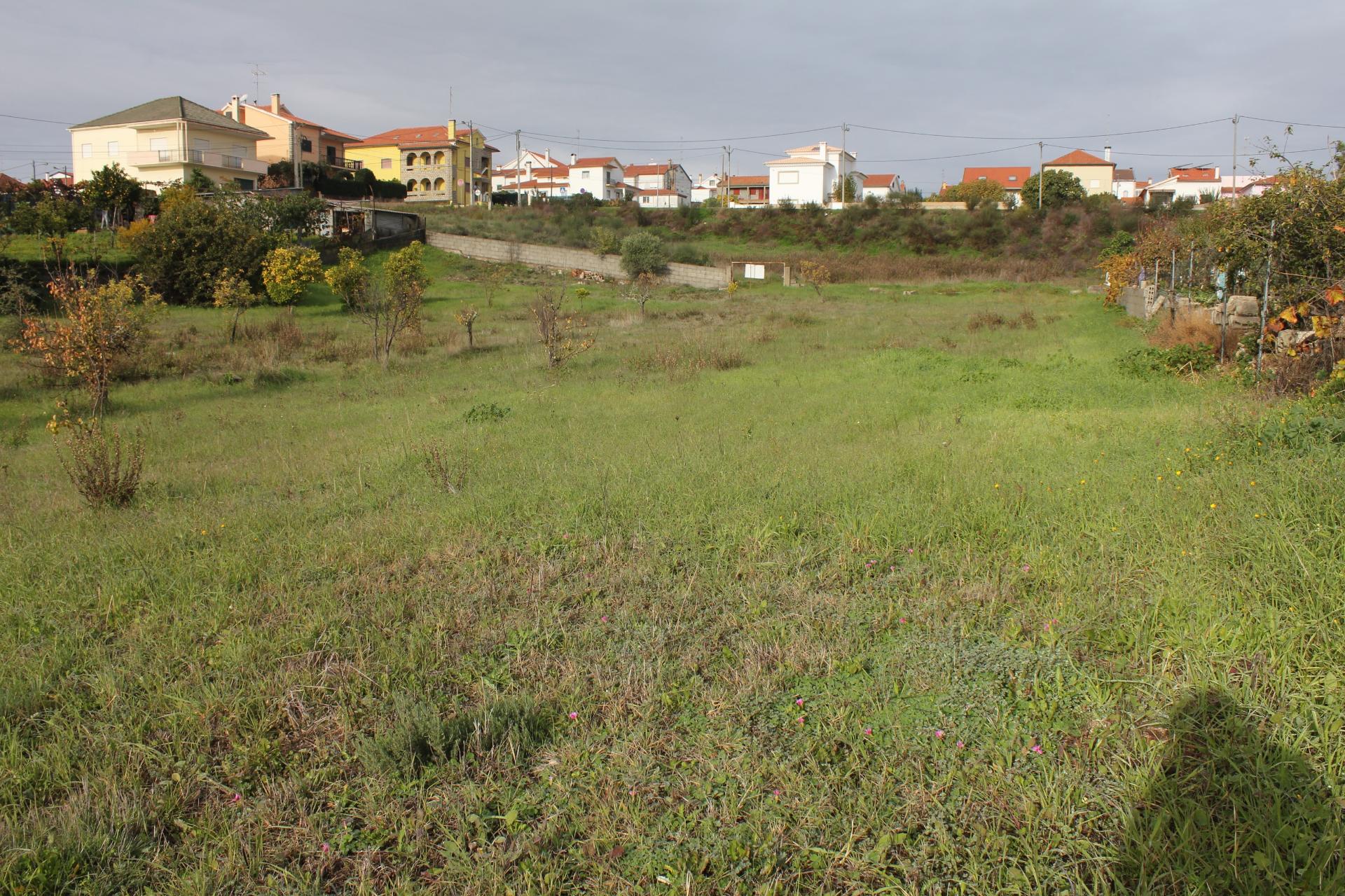 Terreno Urbano para venda em Castelo Branco.
