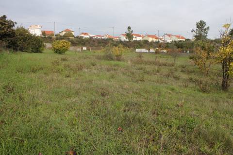 Terreno Urbano para venda em Castelo Branco.
