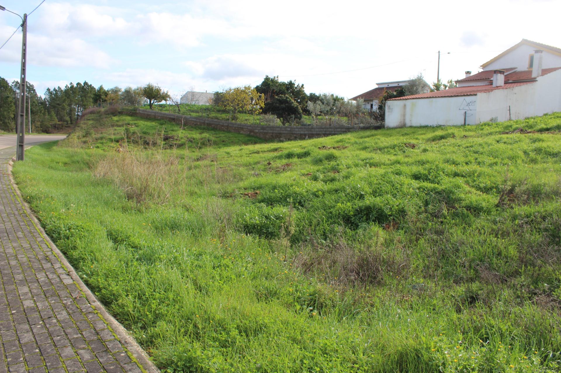 Terreno Rústico com Viabilidade de Construção para Venda em Pedra do Altar