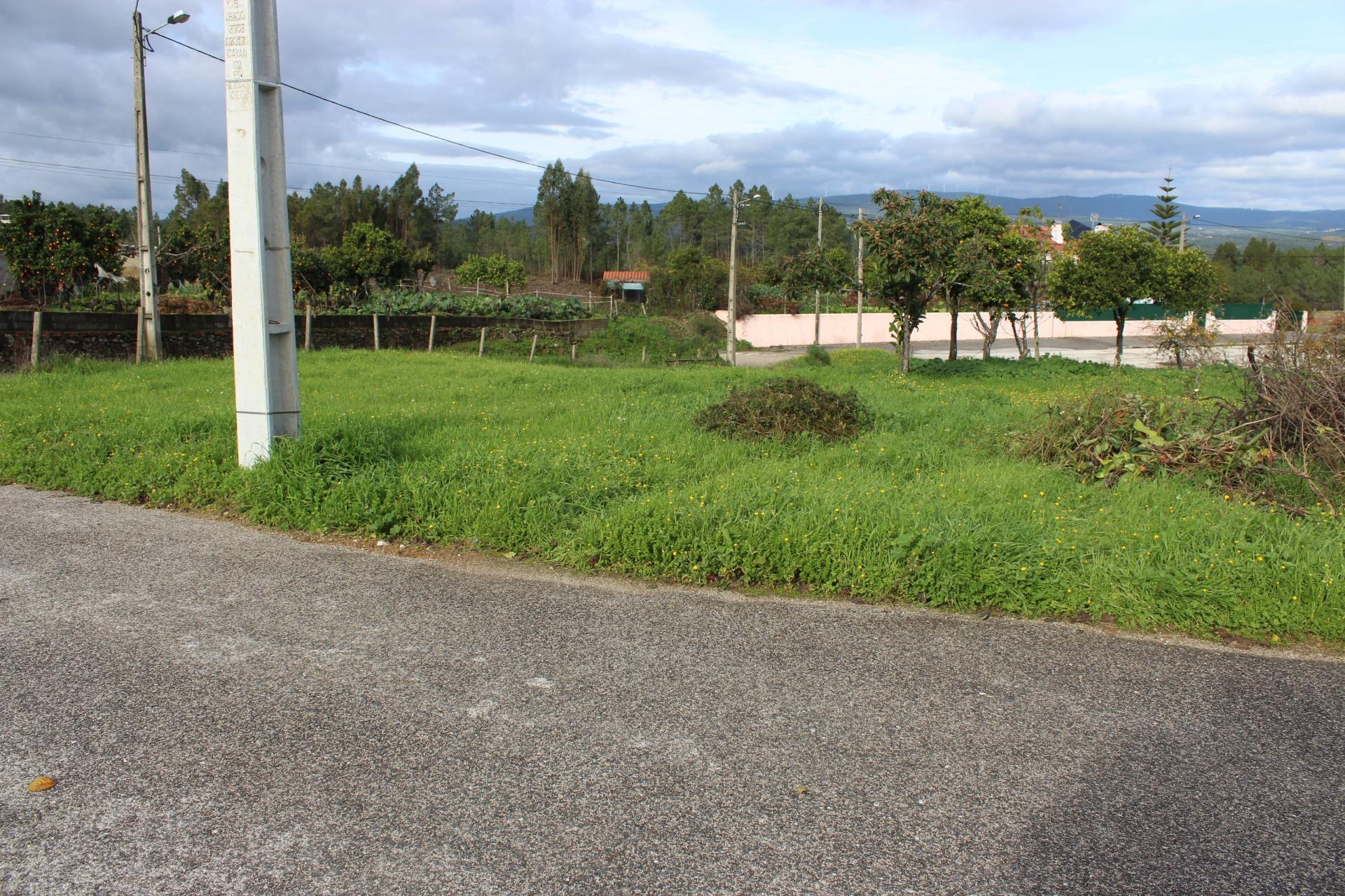 Terreno Rústico com Viabilidade de Construção para Venda em Pedra do Altar