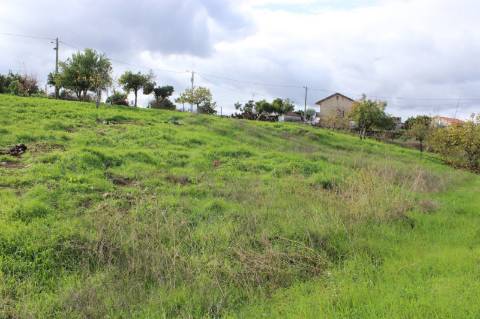 Terreno Rústico com Viabilidade de Construção para Venda em Pedra do Altar