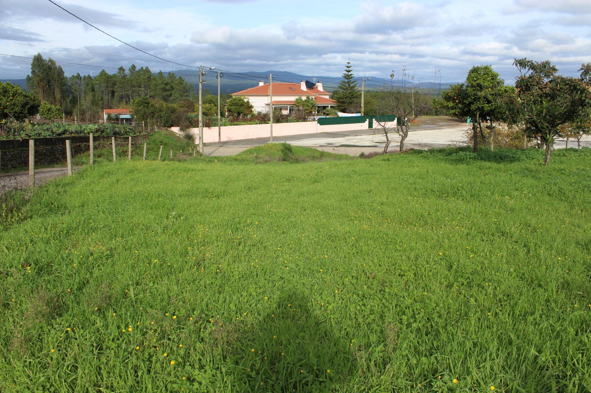 Terreno Rústico com Viabilidade de Construção para Venda em Pedra do Altar
