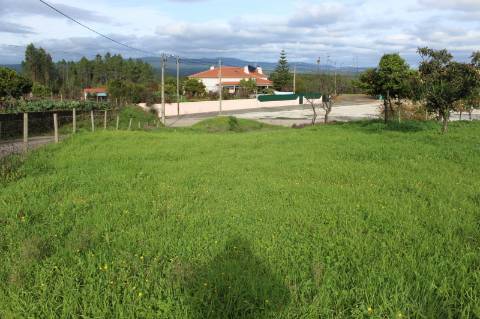 Terreno Rústico com Viabilidade de Construção para Venda em Pedra do Altar