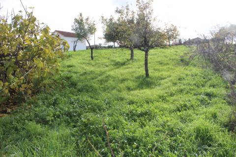 Terreno Rústico com Viabilidade de Construção para Venda em Pedra do Altar