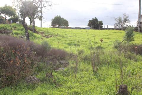 Terreno Rústico com Viabilidade de Construção para Venda em Pedra do Altar