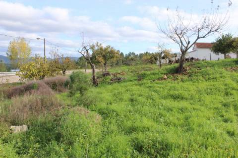 Terreno Rústico com Viabilidade de Construção para Venda em Pedra do Altar